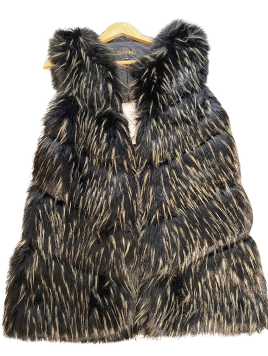  Vestă, XL