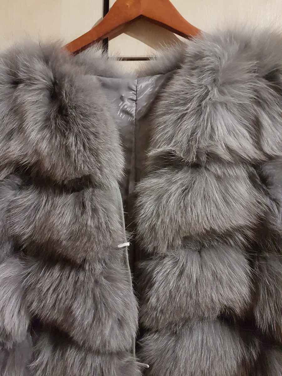  Vestă, XL