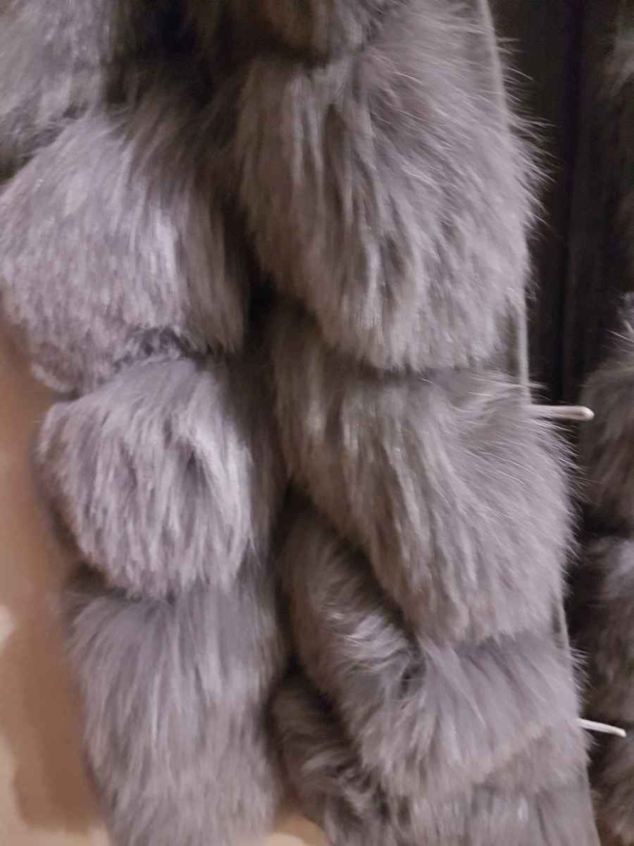  Vestă, XL