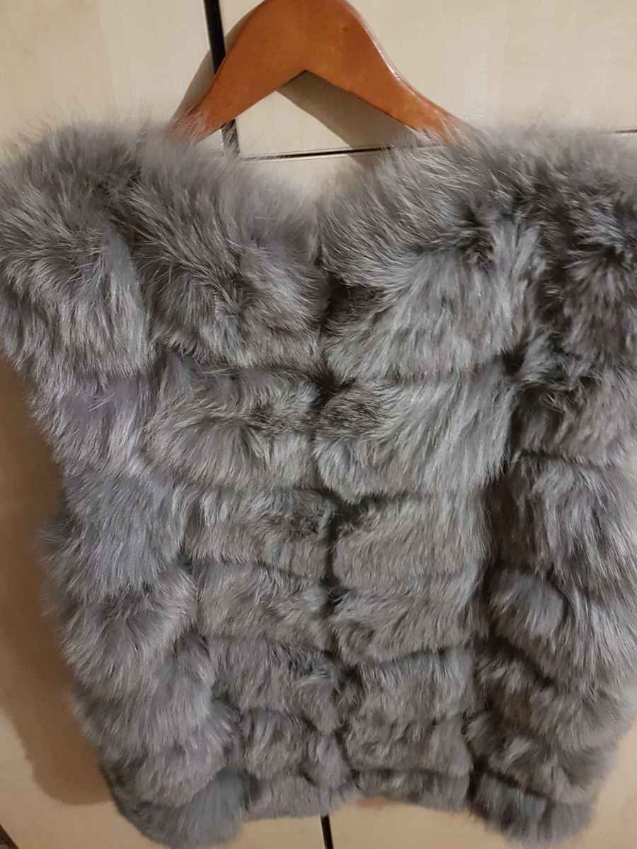  Vestă, XL