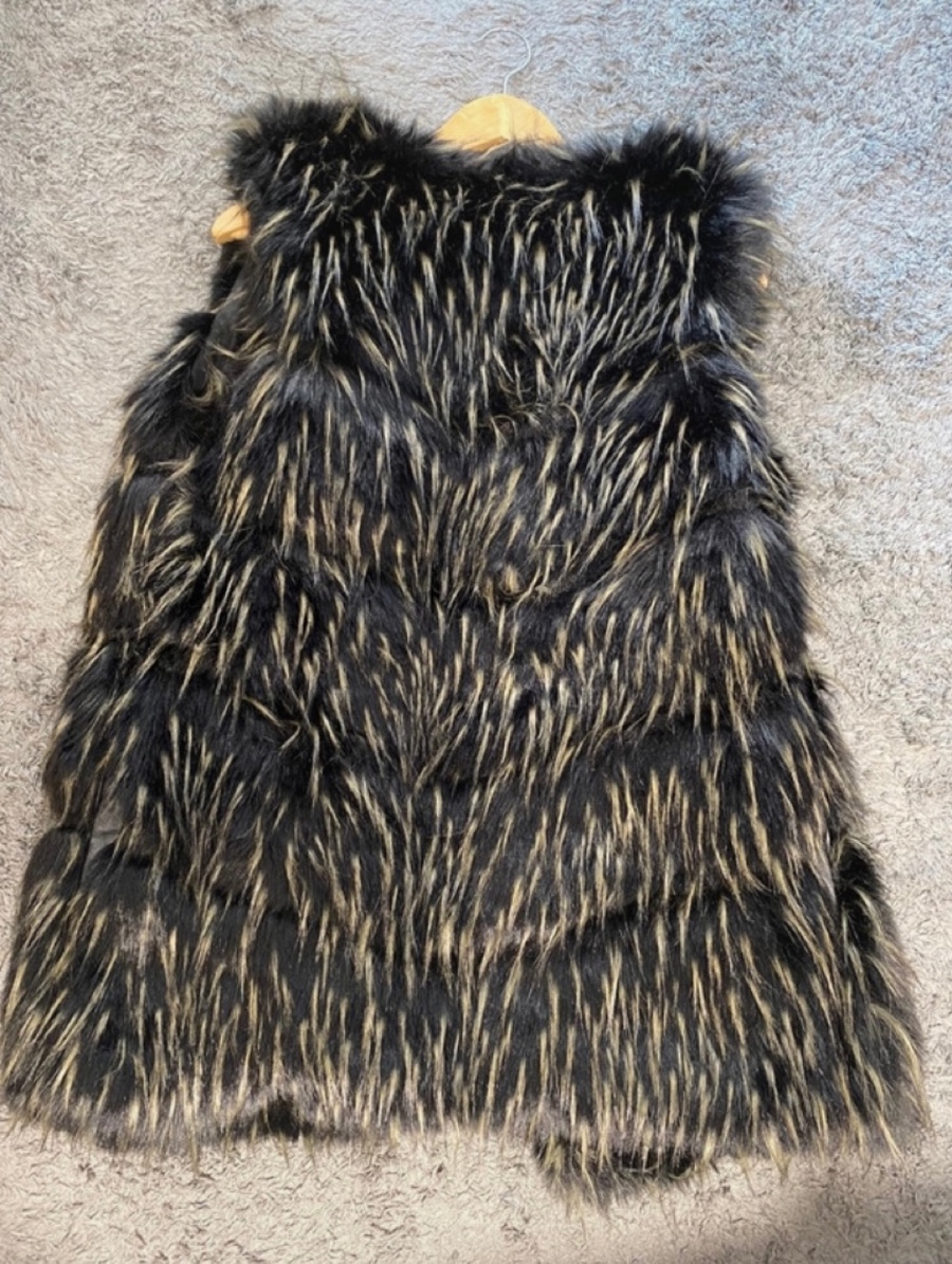  Vestă, XL