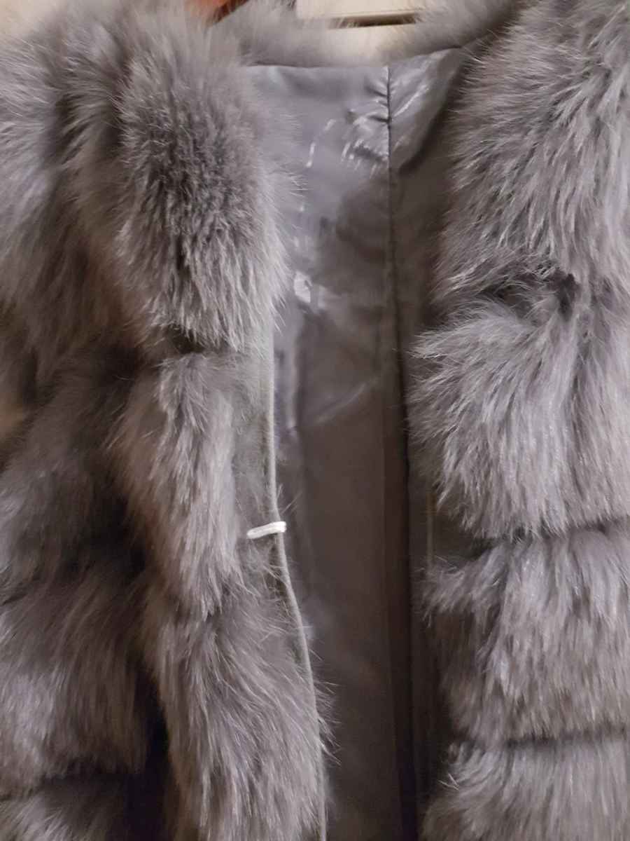  Vestă, XL